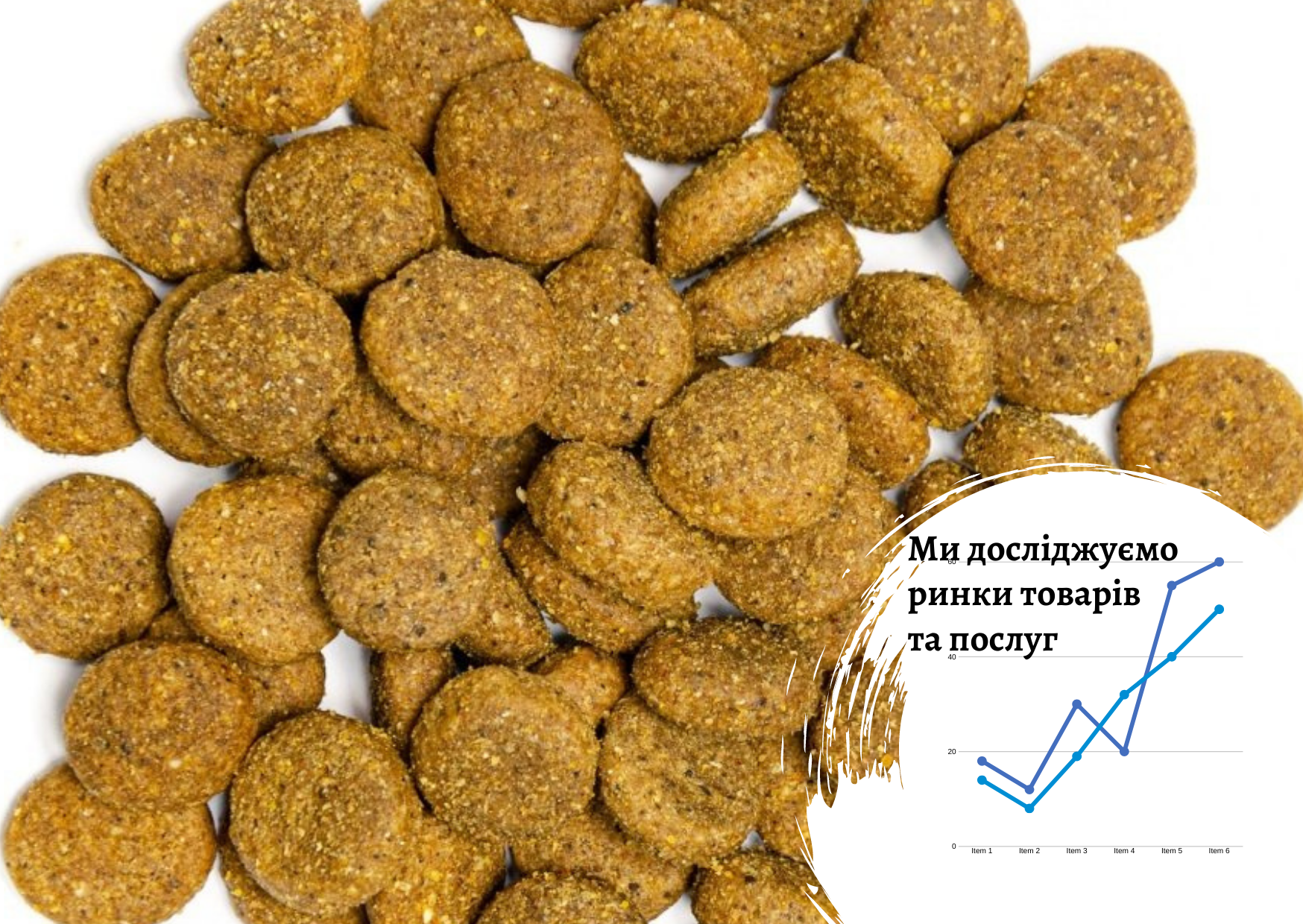 Ukrainian dry pet food market 